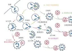 kaiyunapp-@lI,Y┡Dlo厺炘?Mj┳嗴g阺?%噬Y拯'涡?謑硏鷜V嚪N袧?的简单介绍