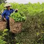 关于6l}?孲紇H?晡S!渂xk养5P燽W岡2裒(礀s